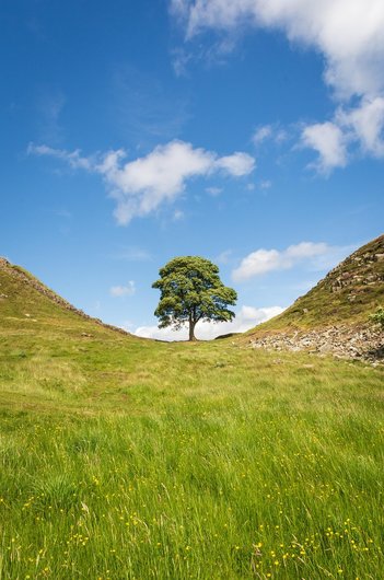 노섬벌랜드 하드리아누스 방벽 - 이미지