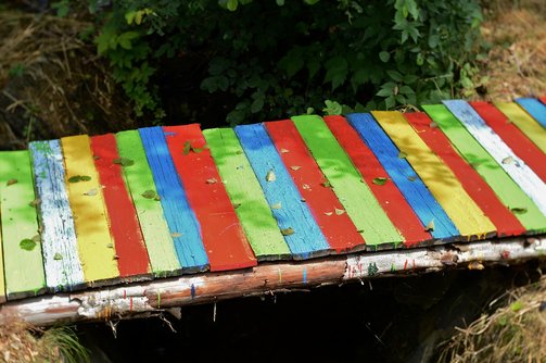 레인보우샤크 - 이미지