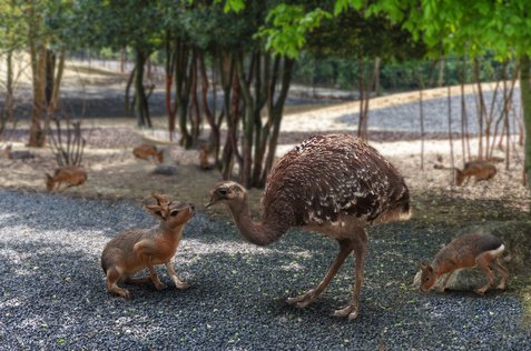 무대설치 - 이미지