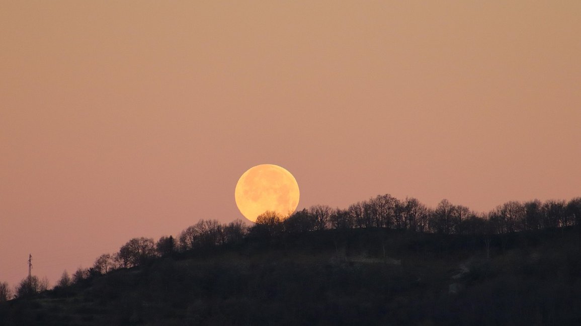 문서작성 알바 - 이미지