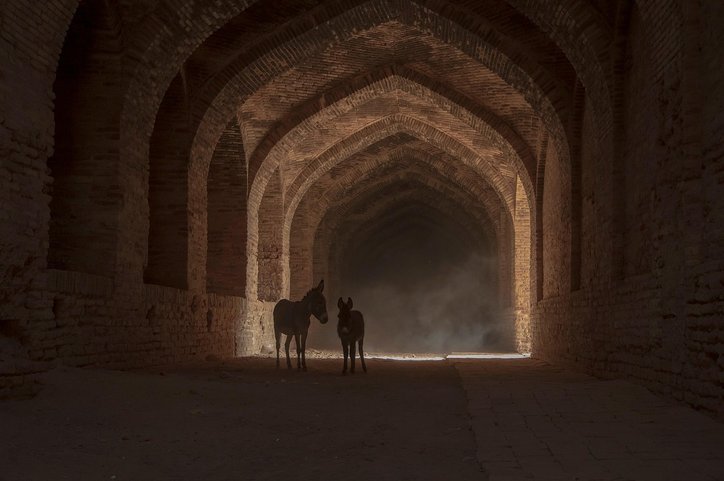 발표 능력 - 이미지