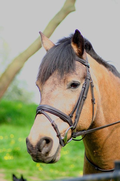 산만함극복 - 이미지