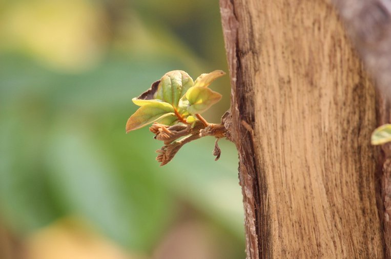 성장 기회 - 이미지