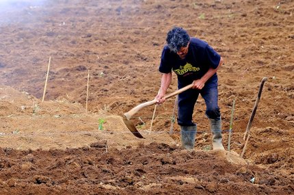성장주발굴 - 이미지