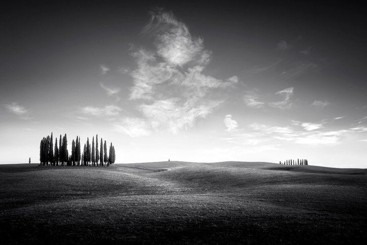 시니어돌봄 - 이미지