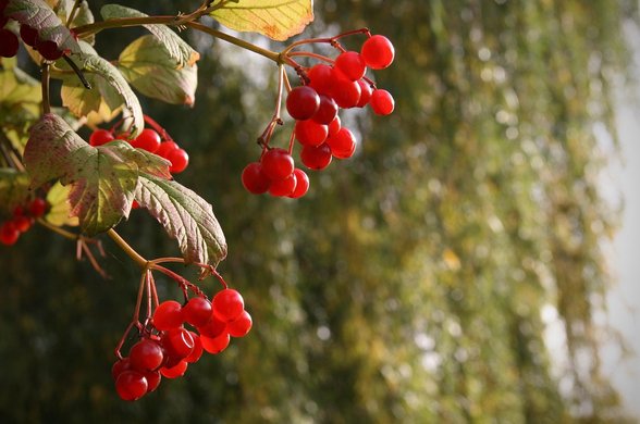 이동평균 - 이미지