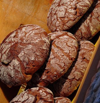 일용직 - 이미지