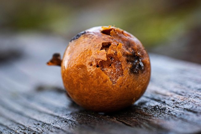 잠버릇 - 이미지