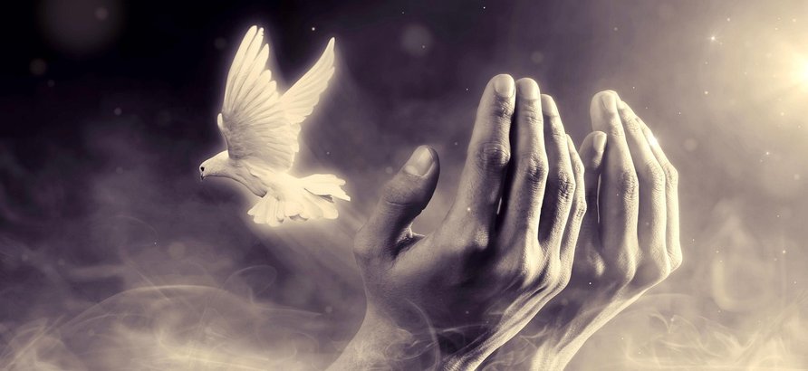 적극적 공감 - 이미지