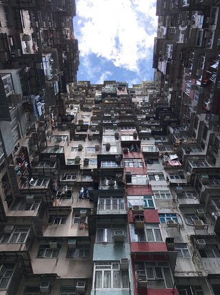 지지구축 - 이미지