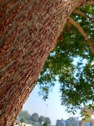 책추천 - 이미지