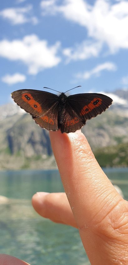 클리프스 오브 모어 모어 절벽 - 이미지