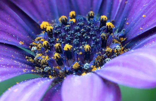 텃밭 가꾸기 - 이미지