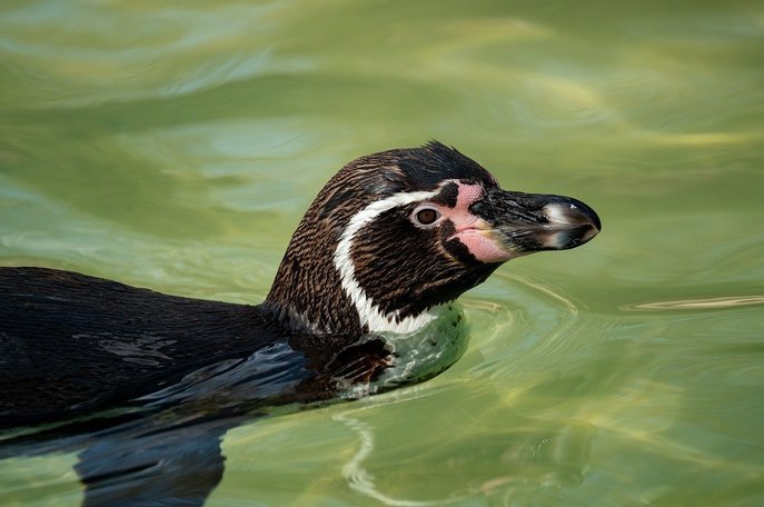 환경관리 - 이미지