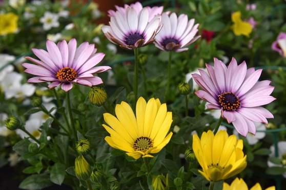 골다공증예방 - 이미지