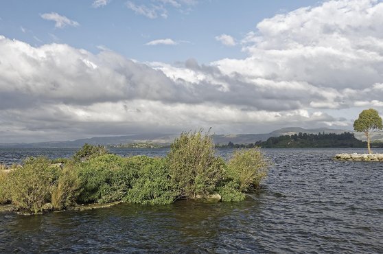 북섬 로토루아 - 이미지
