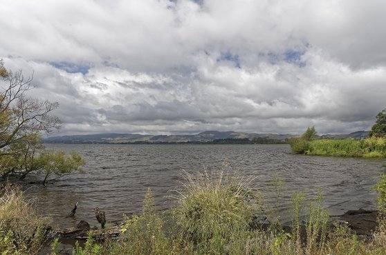 북섬 로토루아 - 이미지