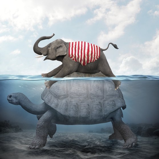 약점보완 - 이미지