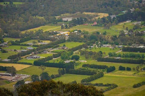 N잡컨설팅 - 이미지