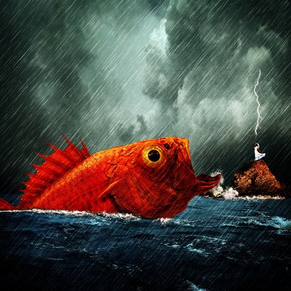 손실 최소화 - 이미지