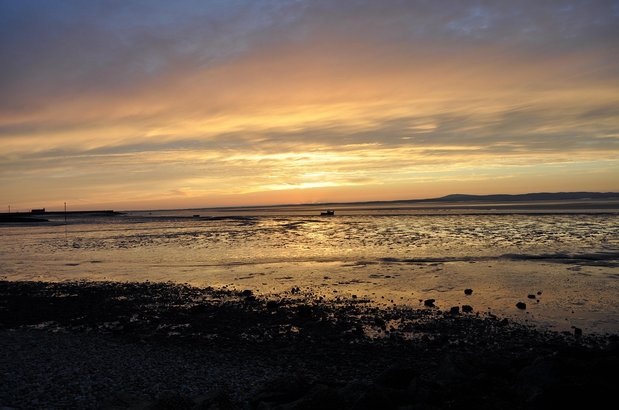 수익 극대화 - 이미지