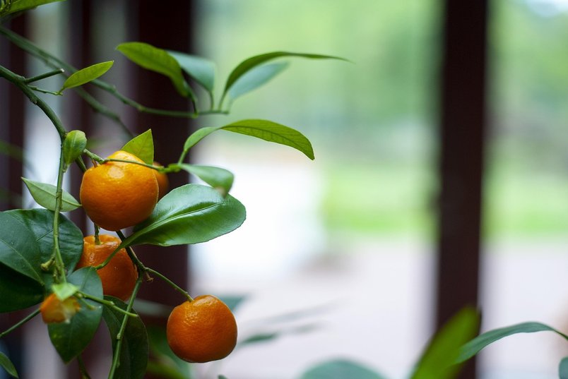 스몰 토크 - 이미지