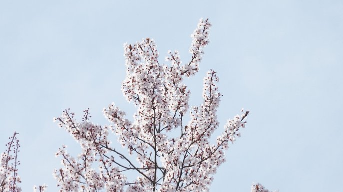 오감 깨우기 - 이미지