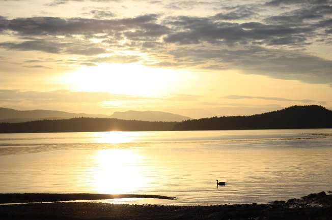 즉시 행동 - 이미지