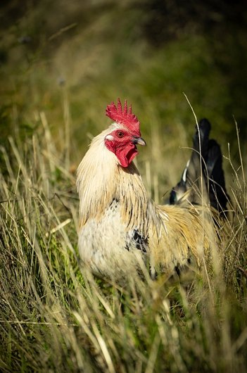 끈기 기르기 - 이미지