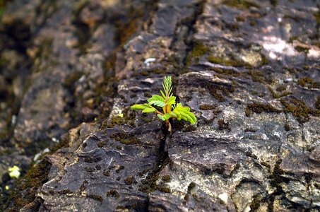 끈기 기르기 - 이미지