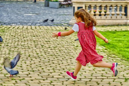 JPMorgan Chase 주식차트 - 이미지