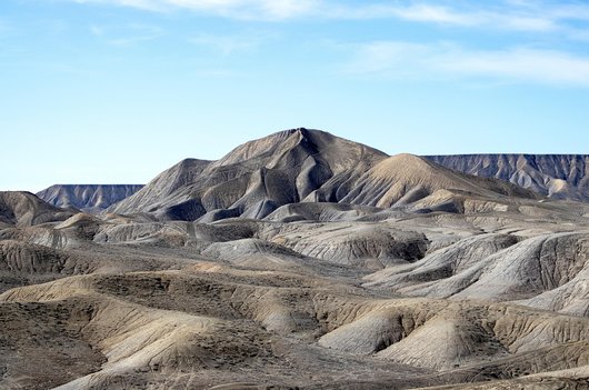 Adobe 주식차트 - 이미지