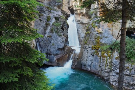 Johnson  Johnson 주식차트 - 이미지