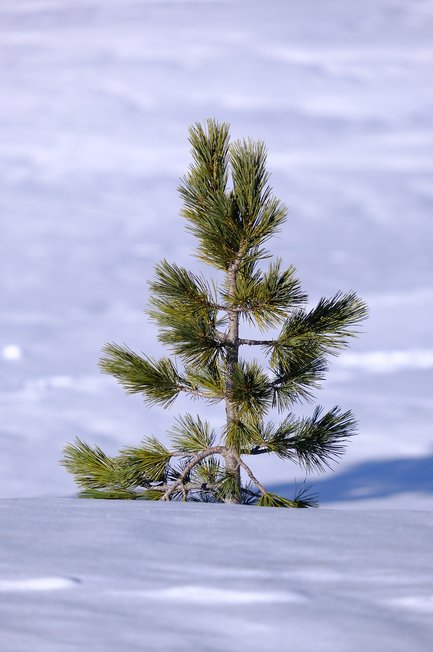아비트럼 ARB 암호화폐차트 - 이미지