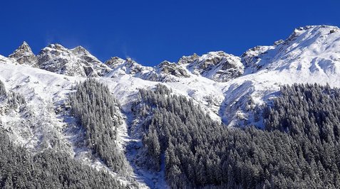 관리종목 - 이미지