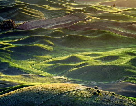 그린워싱 - 이미지