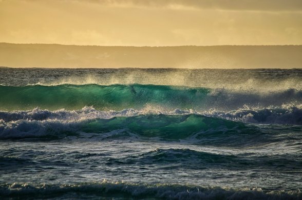 몬터레이 몬터레이 베이 아쿠아리움 - 이미지