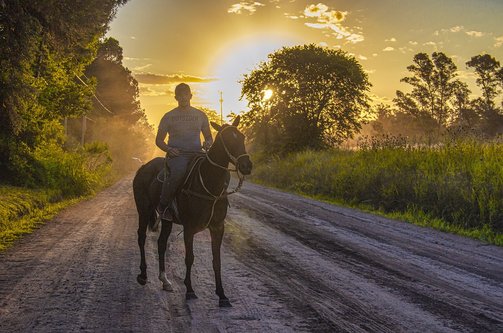 생베르나르 - 이미지