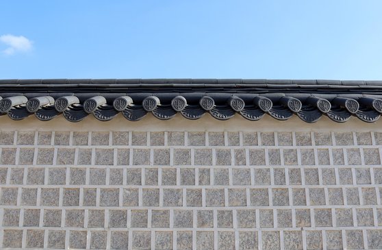 코리아 진도견 - 이미지