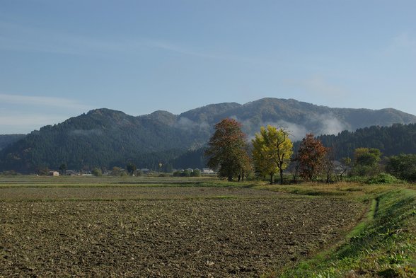 HMM 주식차트 - 이미지