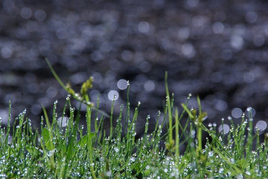 HMM 주식차트 - 이미지