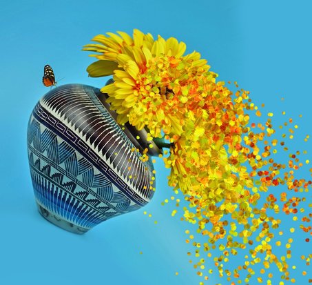 P2P분산 - 이미지