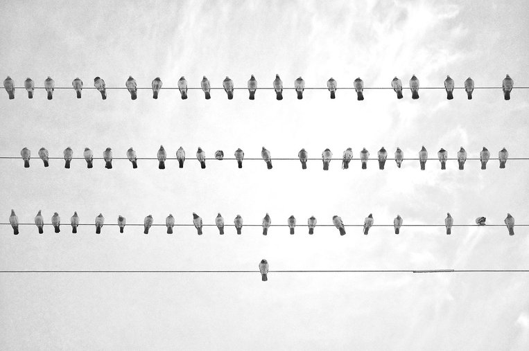 단순화 - 이미지