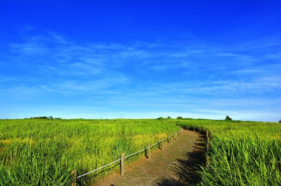 사잇돌 - 이미지