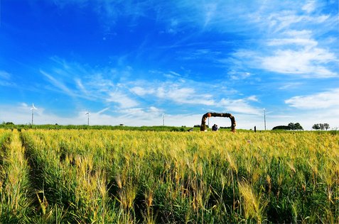 사잇돌 - 이미지