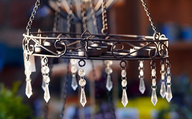 지수형 - 이미지