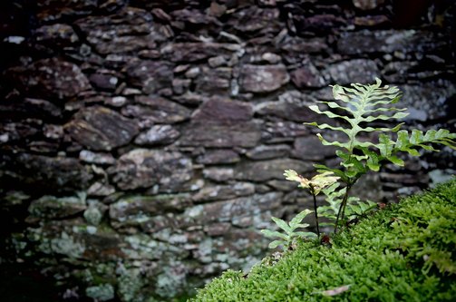 강점약점 - 이미지