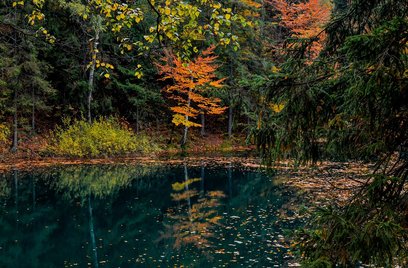 관절보호 - 이미지