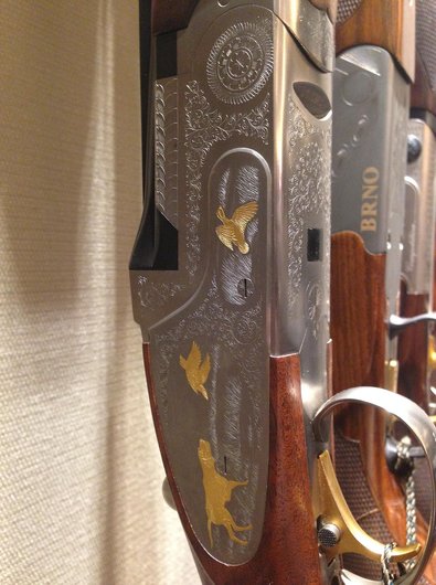 금감원 - 이미지