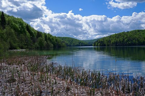 리코센카운티 플리트비체 호수 국립공원 - 이미지